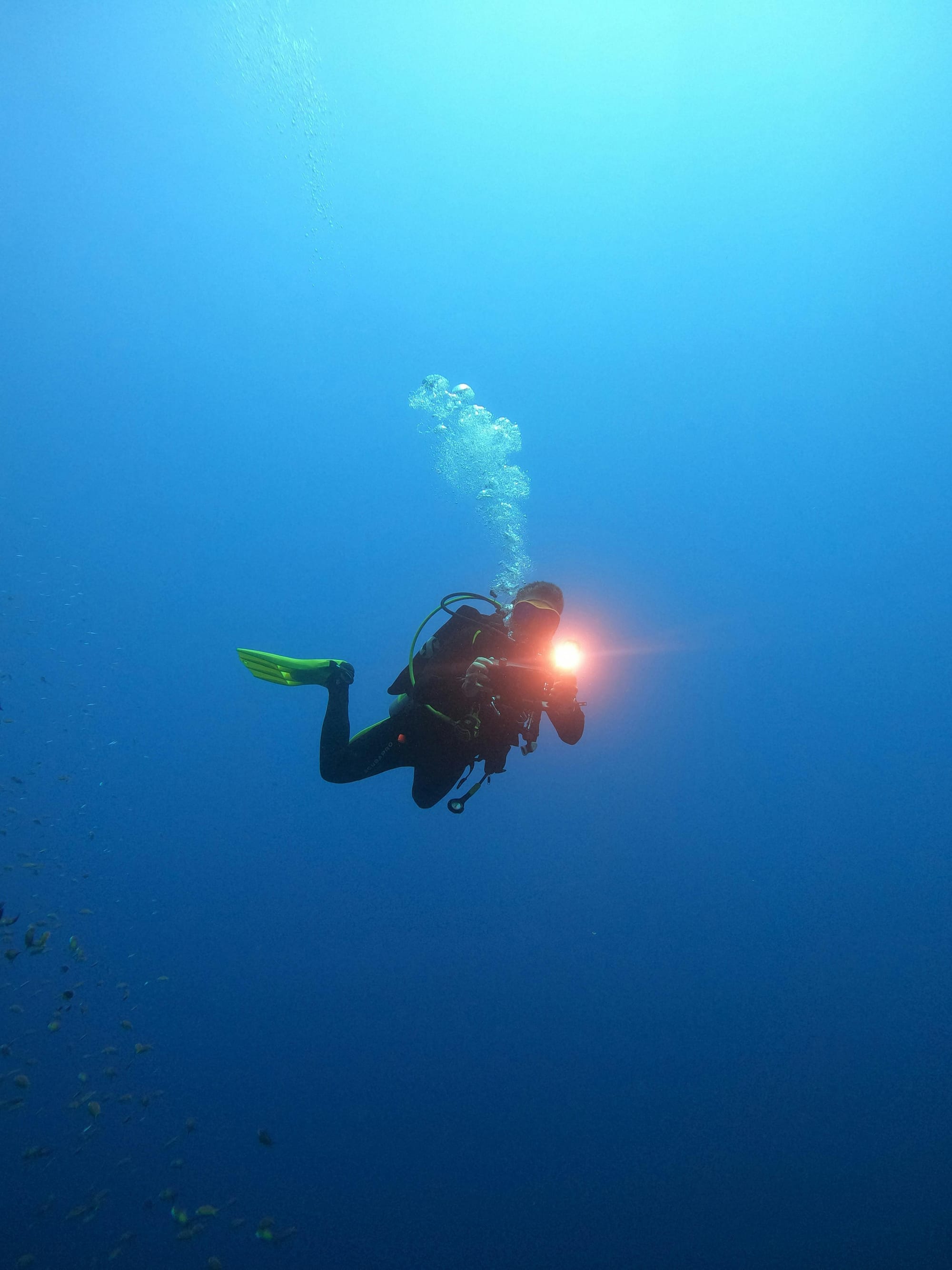 How to Choose the Right Dive Torch for Night Dives, Wrecks and Reef Colours
