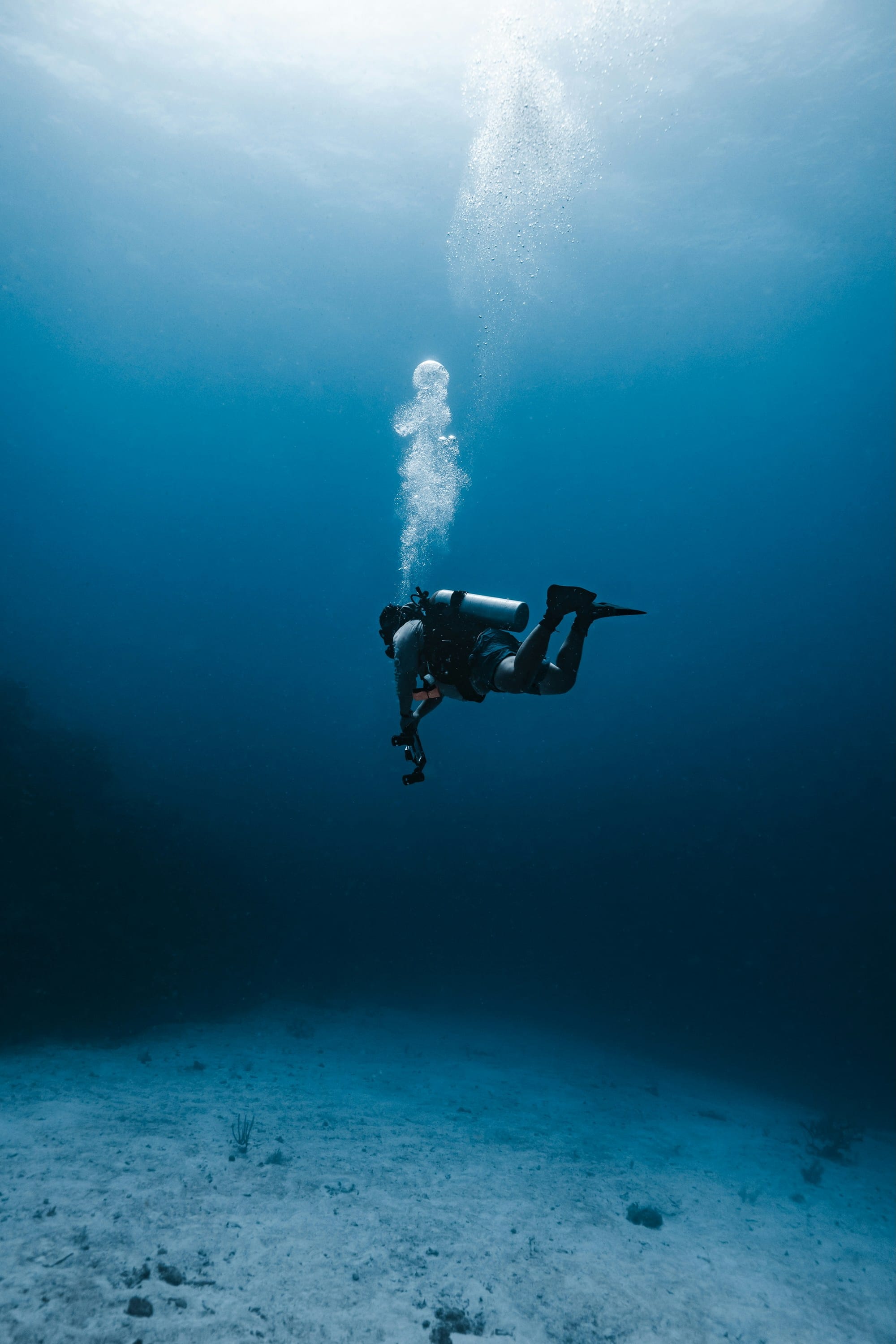 How To Read A Dive Computer: What Every Number Means Underwater